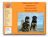 Tibetan Mastiff and Wirehaired Dachshund Is Full of Life