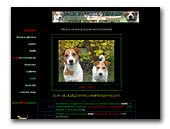 jackrusselle.pl