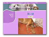 Jocebec Hounds