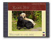 Labradors kennel Karol Rut