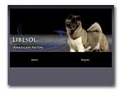 American Akita Libesol