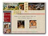 Lietuvos liūtas Chow Chows Kennel