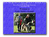 Little Merlin's Miniature Pinschers Kennel