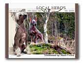 Local Hero's Xolointzcuintle and Chinese Crested Dogs