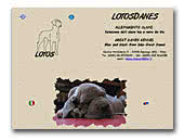 Lotosdanes - Great Danes Kennel