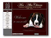 American Staffordshire Terriers kennel Mia Albachiara