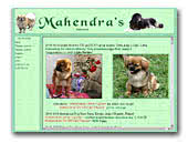 Mahendra's Tibetan Spaniels and Mastiffs
