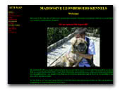 Mahoosive Leonbergers Kennel