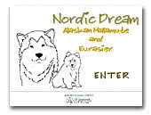 Alaskan Malamutes and Eurasiers Kennel Nordic Dream