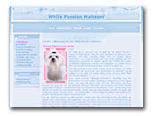 Malteser Hundezucht White Passion