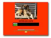 Masterbullmastiff Kennel