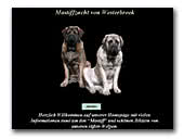 Mastiffzucht von Westerbroek