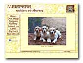 Golden Retrievers Meiepere