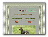 Chinese Crested Dogs Kennel Meztelenkutya