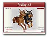 Millgret Miniature Pinschers Kennel