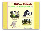 Kennel Milthon Bohemia