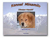 Tibetan Mastiff Minamiin