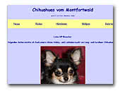 Chihuahuas vom Montfortwald