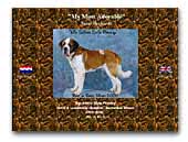 English Bulldogs Kennel My Most Adorable