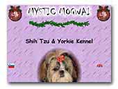 Mystic Mogwai