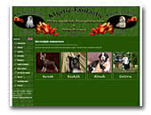 Mystic-Fantastic Chinese Crested Dog
