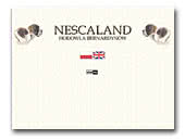 St. Bernard and Miniature Schnauzer Nescaland Kennel