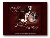 Bullmastiff Nestor Notabilis