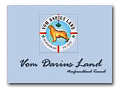 Newfoundland Vom Darius Land kennel