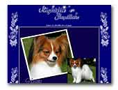 Kennel Nightfire's Papillons