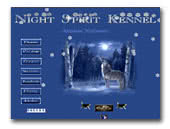 Night Spirit kennel Alaskan Malamute