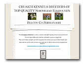 Norwegian Elkhounds Kennel Cruaich