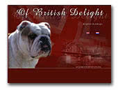 English Bulldog of British Delight