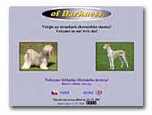 Tibetan Terrier of Darkness