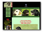 Labrador Retriever Old Friends
