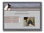 Optimum Solutions American Akita