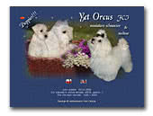Yet Orcus FCI