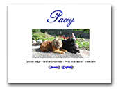 Griffons Kennel Pacey