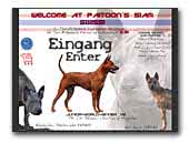 Paitoon's SIAM FCI Thai Ridgeback Dogs