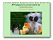 Papillons Papirunners