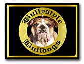 English Bulldogs Bullystyle's