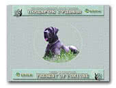 Great Danes Podarok Sudby