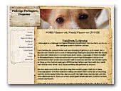 Portuguese Warren Hounds Faidros Leirosa