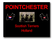 Pointchester Kennel