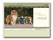 Prince of Sunlight Rough Collies & Shetlands
