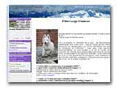 Kennel  P'Tits Loups d'Amour