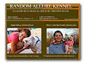 Random Allure English Bulldog Kennel