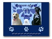 Reason of our Life kennel