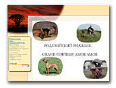 Rhodesian Ridgeback Grand Cortege Amor Amor