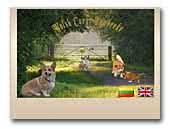 Rudens legendos Welsh Corgi Pembroke