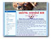 Apache King of Pets ze Zlate Jalny